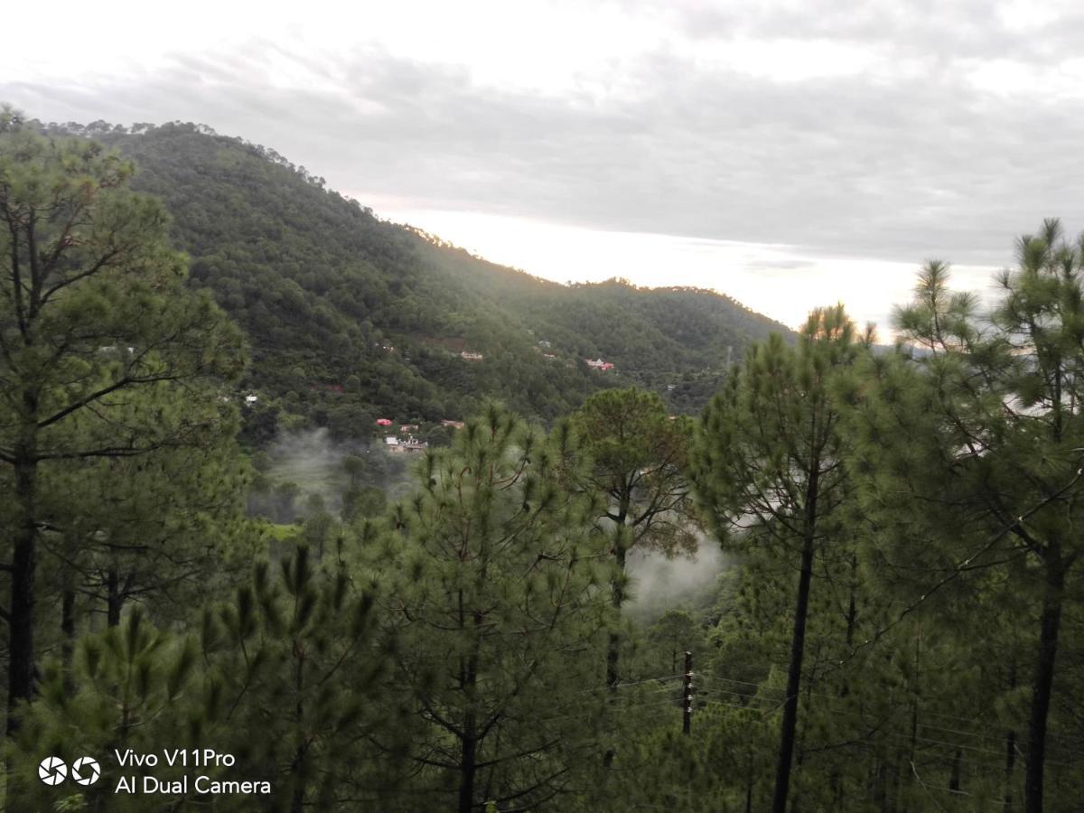 Pine Villa Kasauli Exterior photo